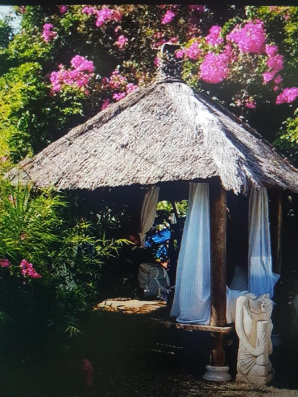 Mikuzi Hotel Кингстън Екстериор снимка